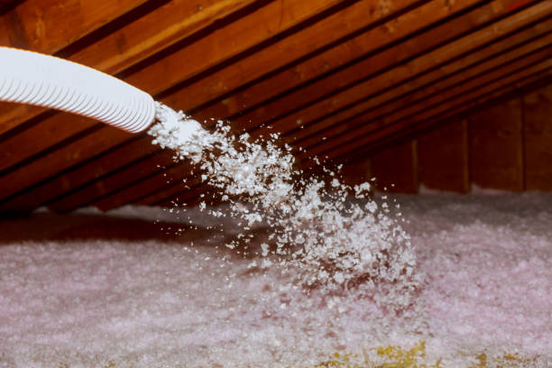 Best Insulation Maintenance and Repair in Elizabethtown, KY